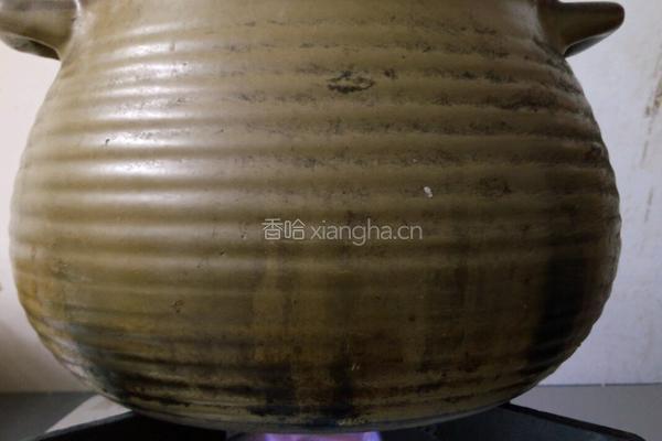 玉米排骨红萝卜汤的做法图解12