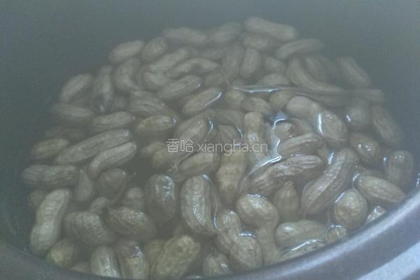 水煮花生的做法图解7