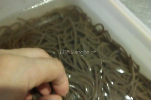 酸辣蕨根粉的做法图解4