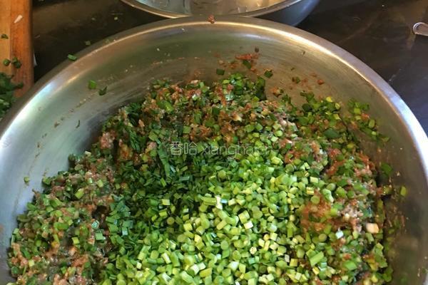 韭菜猪肉饺子的做法图解3