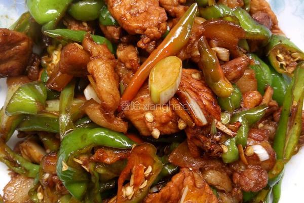 辣椒炒肉的做法图解6