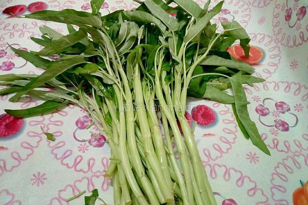空心菜杆炒肉的做法图解1