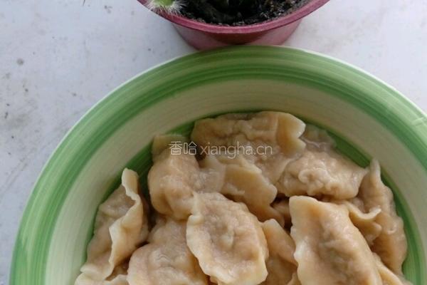 牛肉鲜虾水饺的做法图解13