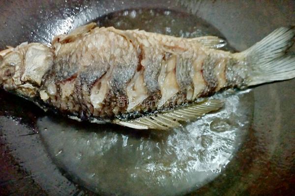 泡椒烧鲫鱼的做法图解6