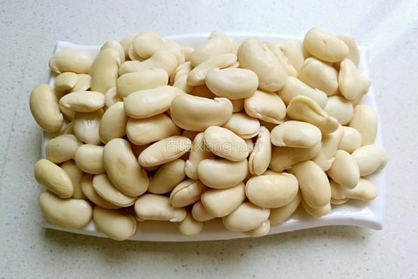 白芸豆馅的做法图解4