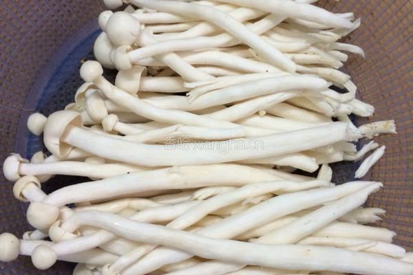 海鲜菇炒瘦肉的做法图解1