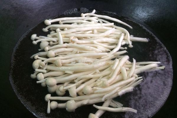 海鲜菇炒瘦肉的做法图解3