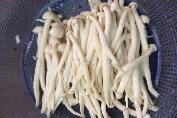 海鲜菇炒瘦肉的做法图解4