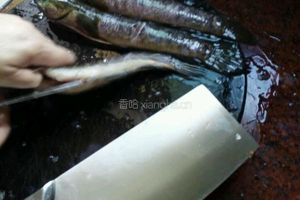 清蒸称星鱼的做法图解2