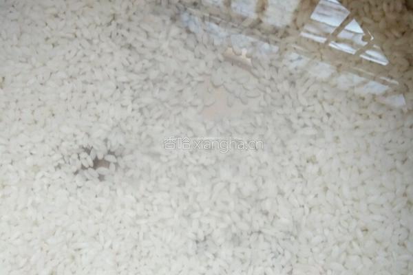 水果粥的做法图解1