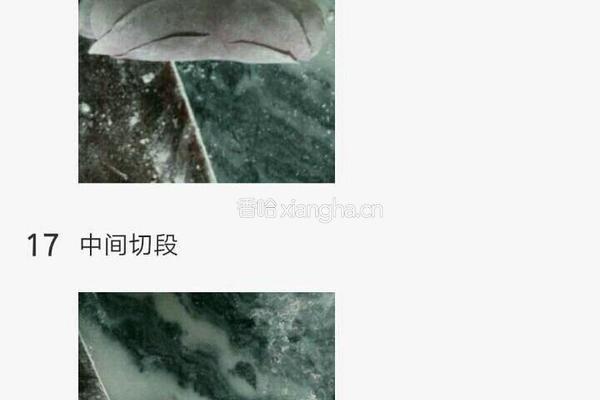 馒头的做法图解6