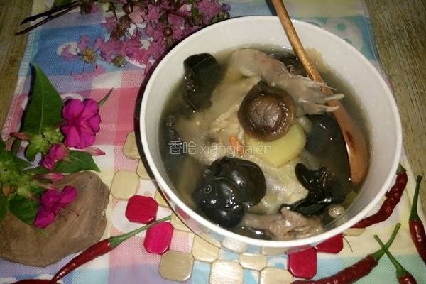 清炖乳鸽汤的做法图解10