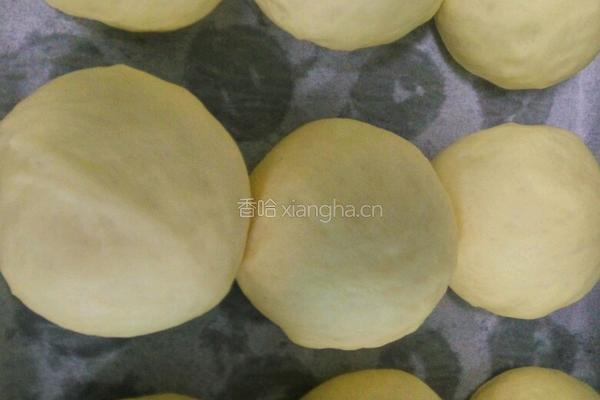 南瓜小餐包（汤种法）的做法图解5