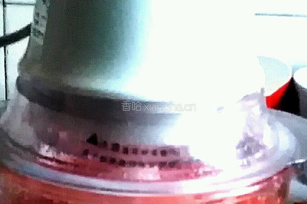 西瓜冰沙的做法图解3
