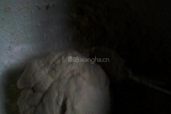 糯米烧卖的做法图解6