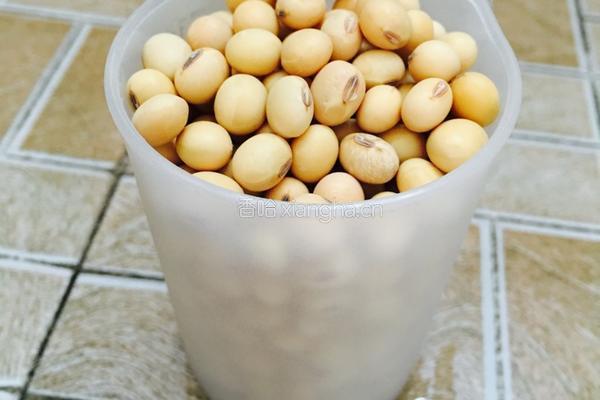 黄豆原味豆浆的做法图解1