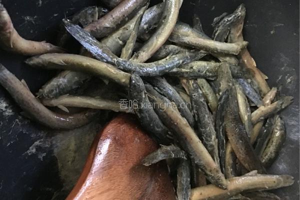 双椒炒泥鳅的做法图解6