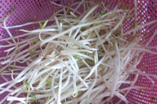 泡椒酸萝卜牛肉片的做法图解2