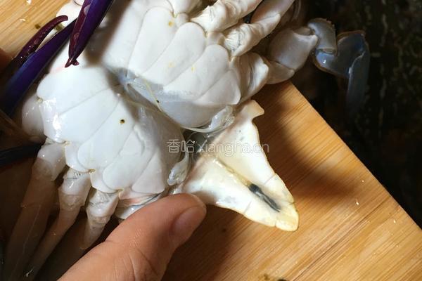 清蒸花蟹的做法图解3