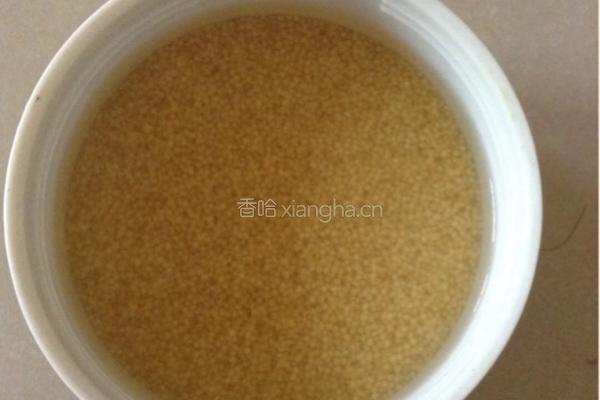 小米粥的做法图解1
