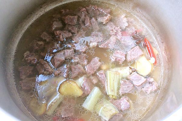 家常炖牛肉的做法图解5