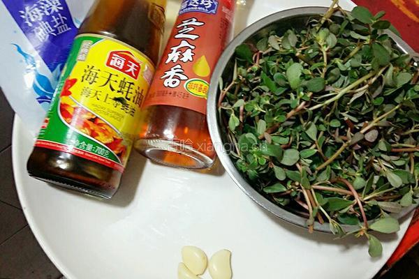 凉拌马齿苋的做法图解1