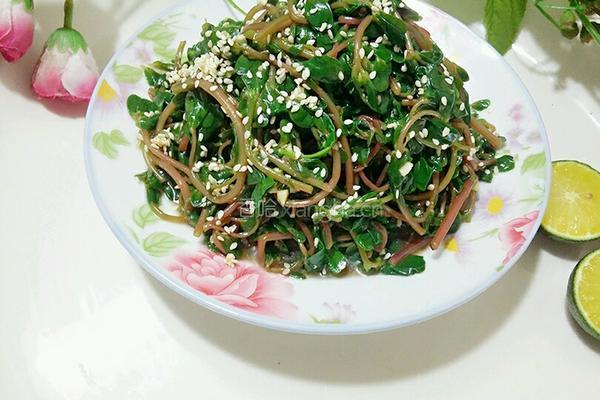 凉拌马齿苋的做法图解13