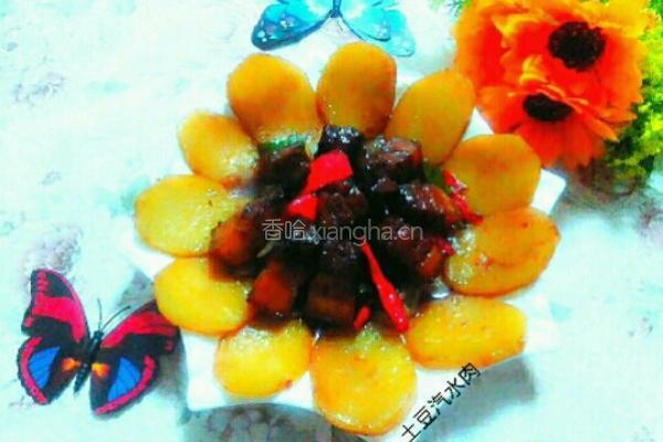 土豆汽水肉的做法图解13