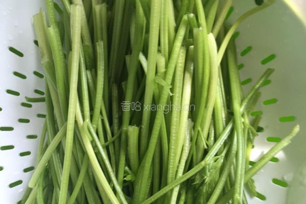 芹菜水饺的做法图解2