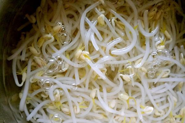 凉拌豆芽的做法图解3
