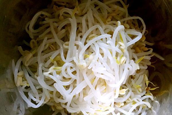凉拌豆芽的做法图解4