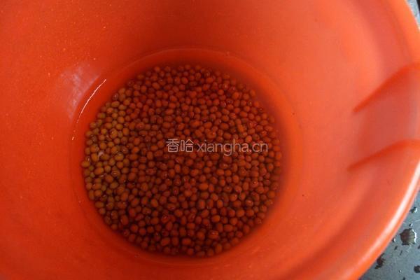 绿豆排骨汤的做法图解1