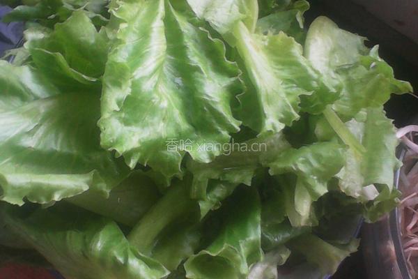 炒凉皮（肉）的做法图解3