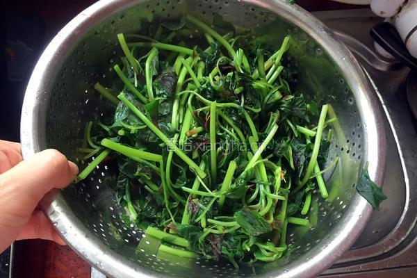 凉拌苋菜的做法图解4