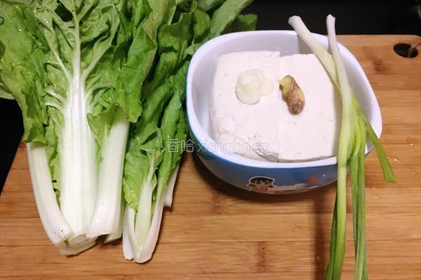 白菜豆腐汤的做法图解1