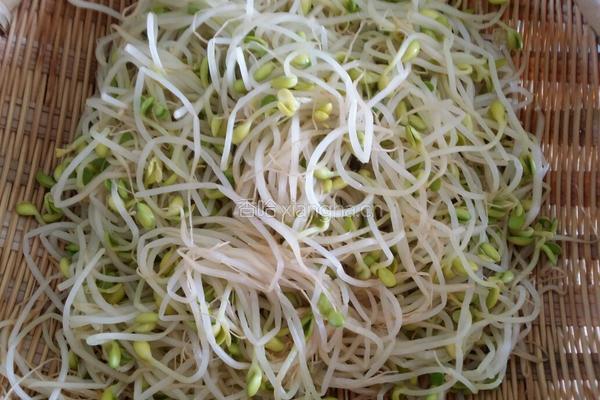 凉拌黄豆芽的做法图解7