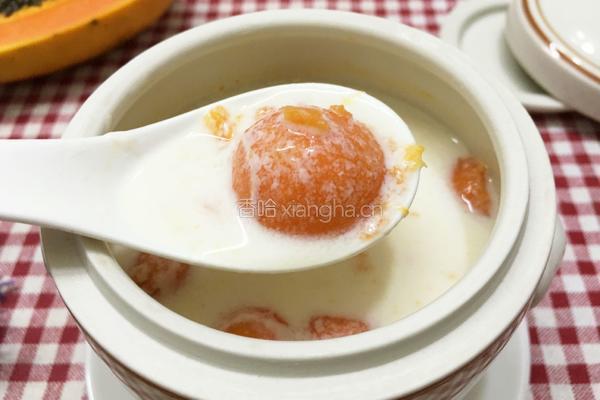 木瓜牛奶的做法图解14