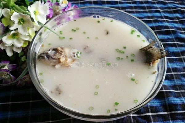 鲫鱼汤的做法图解5