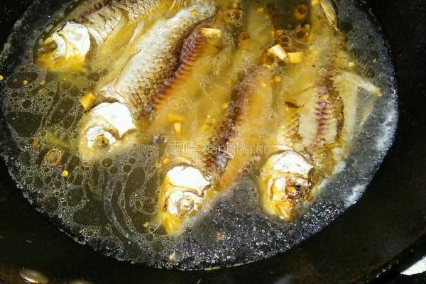 鲫鱼小火锅的做法图解5