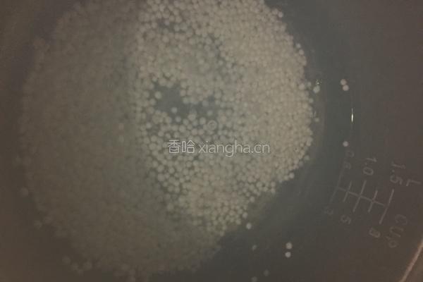 水果椰汁西米露的做法图解3