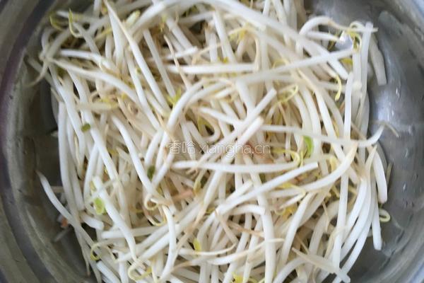 豆芽炒粉丝的做法图解2