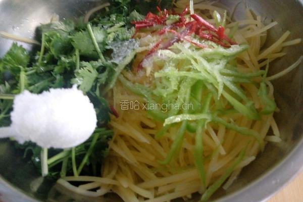 呛拌香菜土豆丝的做法图解12
