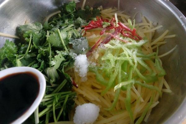 呛拌香菜土豆丝的做法图解13