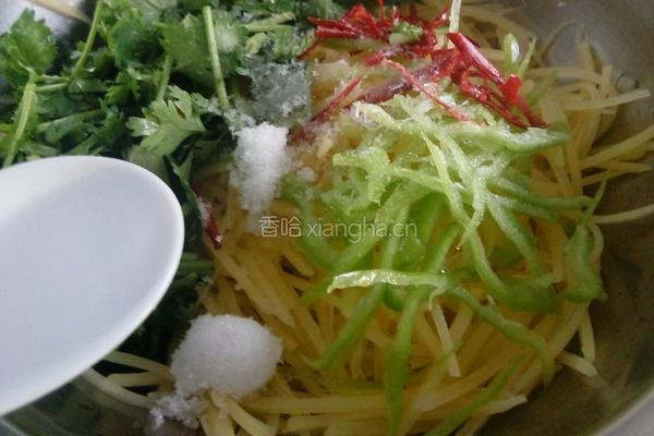 呛拌香菜土豆丝的做法图解15