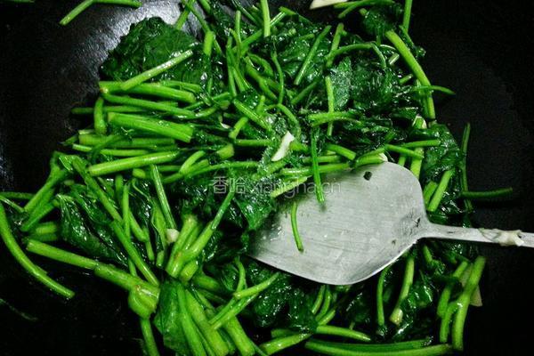 炒红薯叶的做法图解8