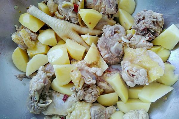 土豆炖鸡的做法图解8