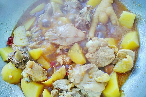 土豆炖鸡的做法图解13