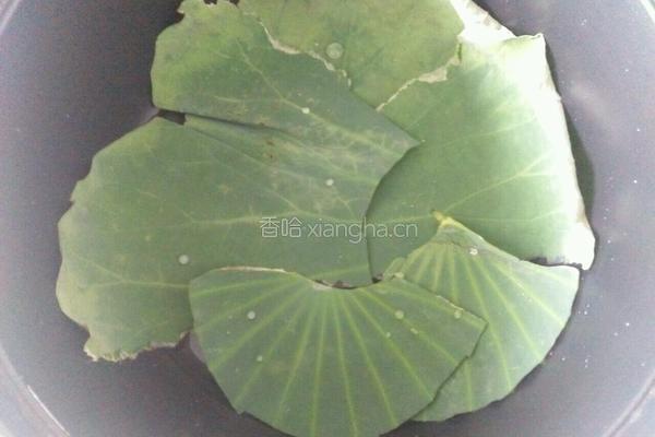 荷叶饭的做法图解3