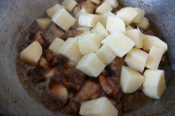 鸡肉炖土豆的做法图解9