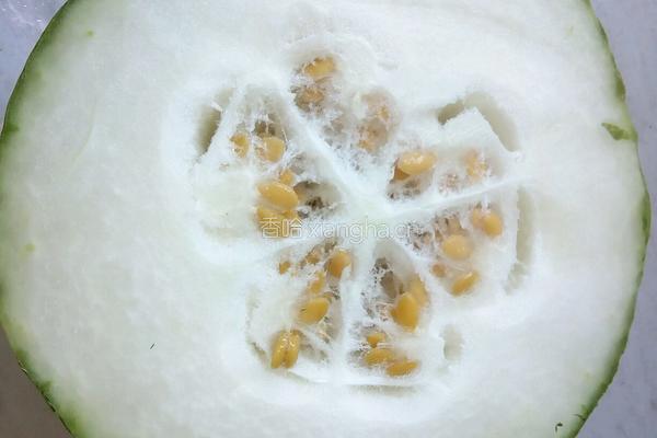 冬瓜虾皮的做法图解1